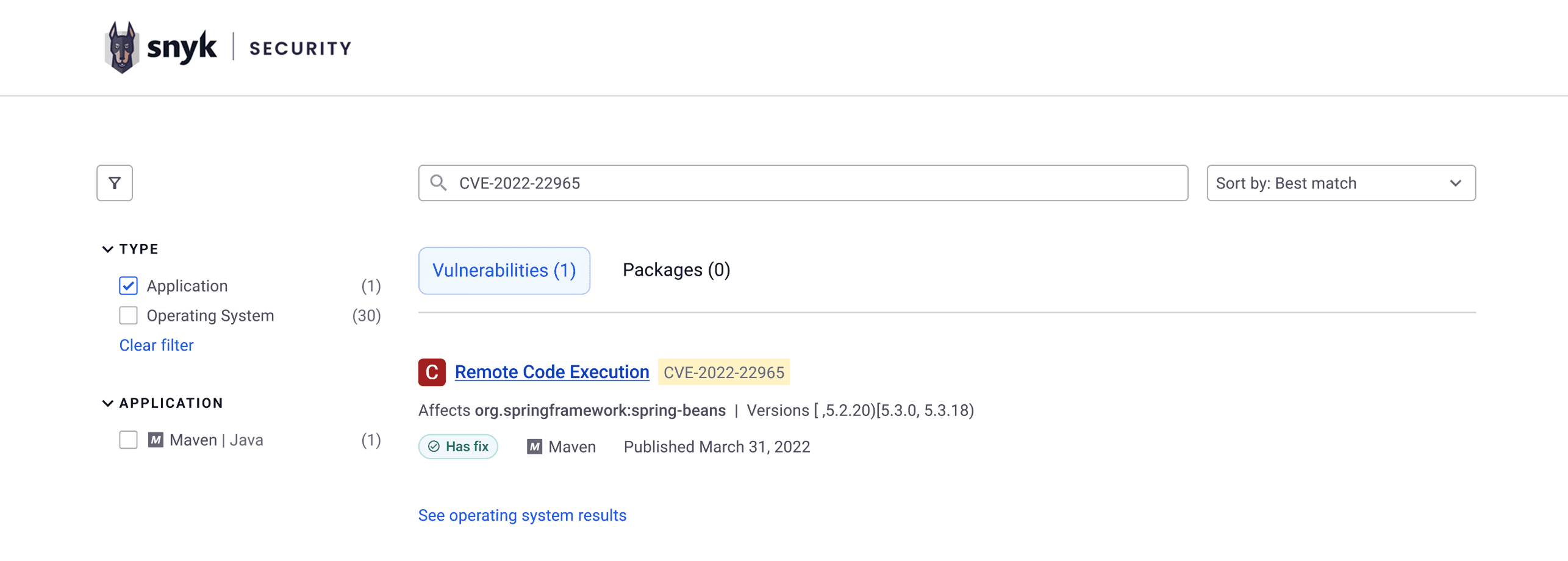 CVE search showing the vulnerability result with Has fix tag
